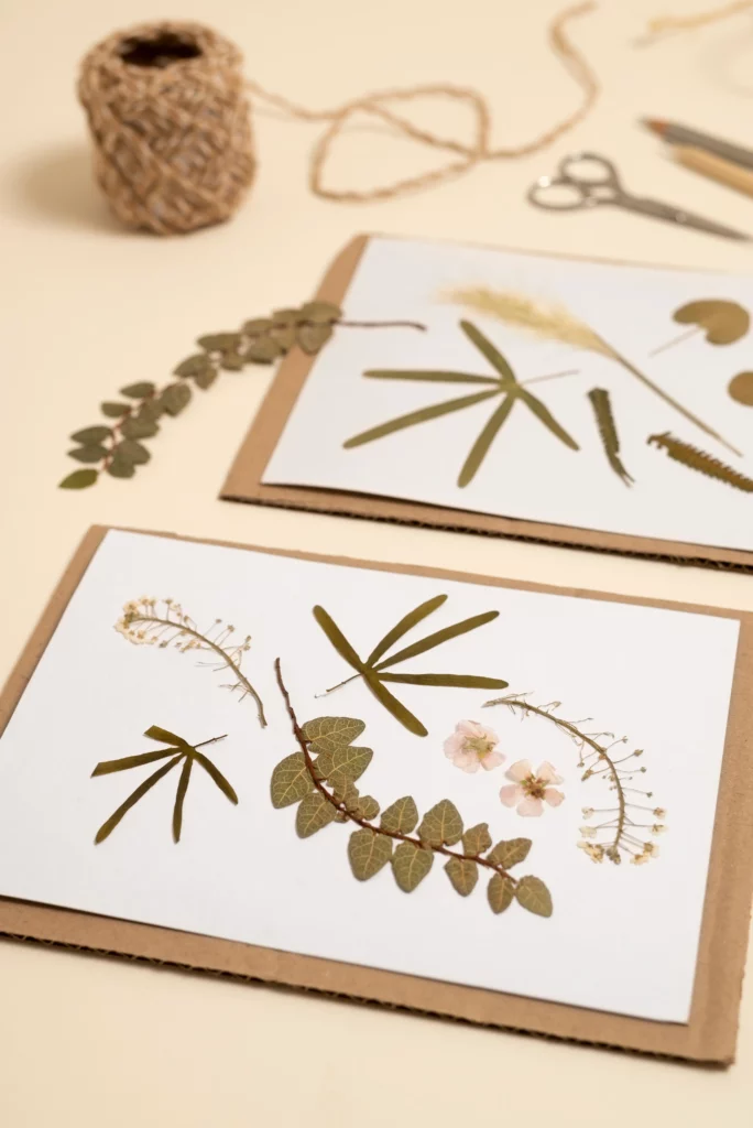 carteèfleurèsechees carteèfleurèsechees